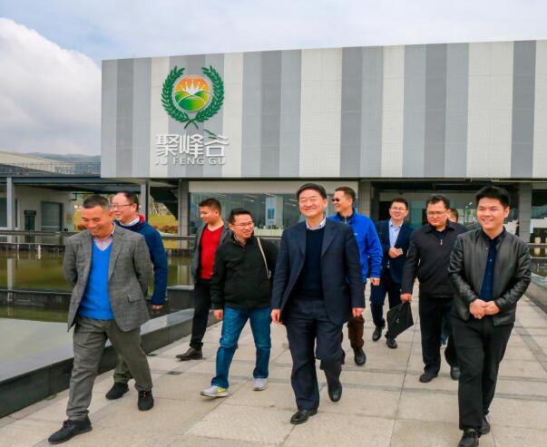 集团党委书记、董事长任丁率队调研聚峰谷