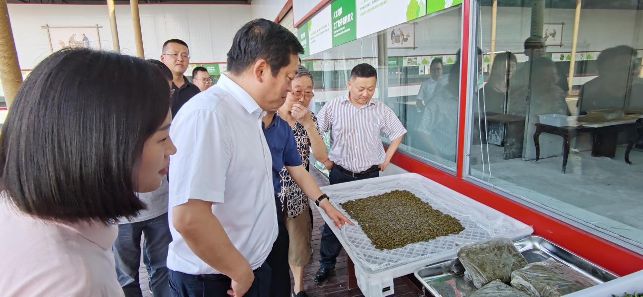 省尊龙凯时集团党委副书记、董事陈日赴嘉陵区调研茶桑产业发展情况