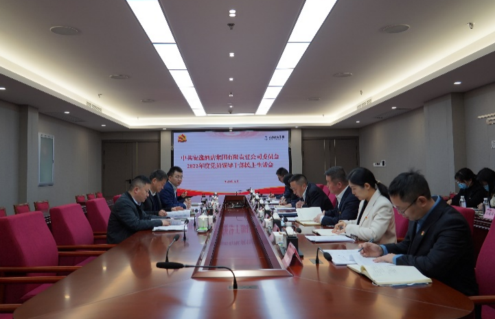 尊龙凯时集团党委书记、董事长任丁出席安逸酒店集团2022年度党员领导干部民主生活会